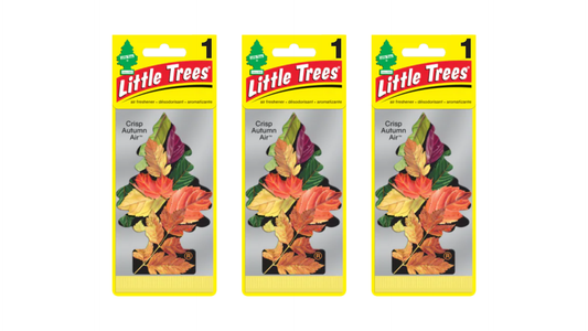 Three packages of Little Trees air fresheners with leaf design on a white background