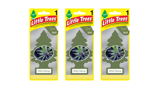 Three packages of Little Trees Wild Hemp air fresheners on a white background