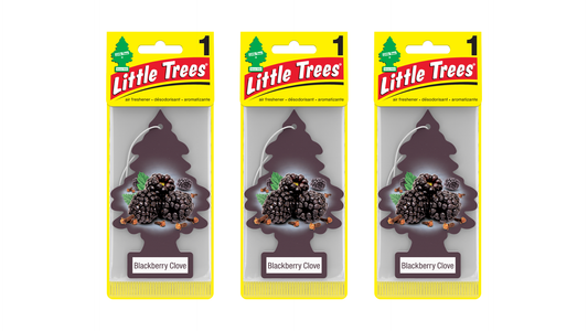 Three packages of Little Trees air fresheners with blackberry clove scent on a white background.