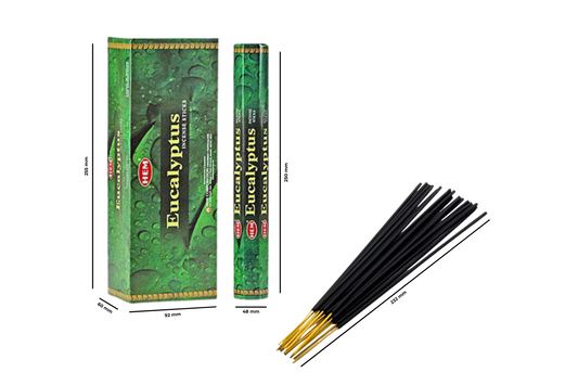 Eucalyptus incense sticks with packaging on a white background