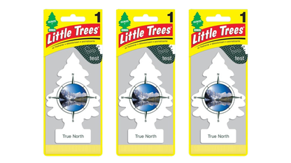 Three packages of Little Trees True North air freshener on a white background