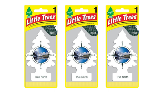 Three packages of Little Trees True North air freshener on a white background