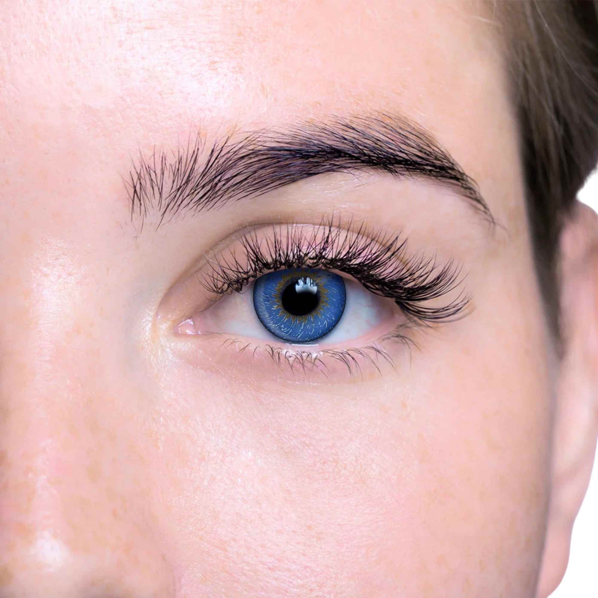 Close-up of a person's eye with detailed eyelashes and eyebrow.